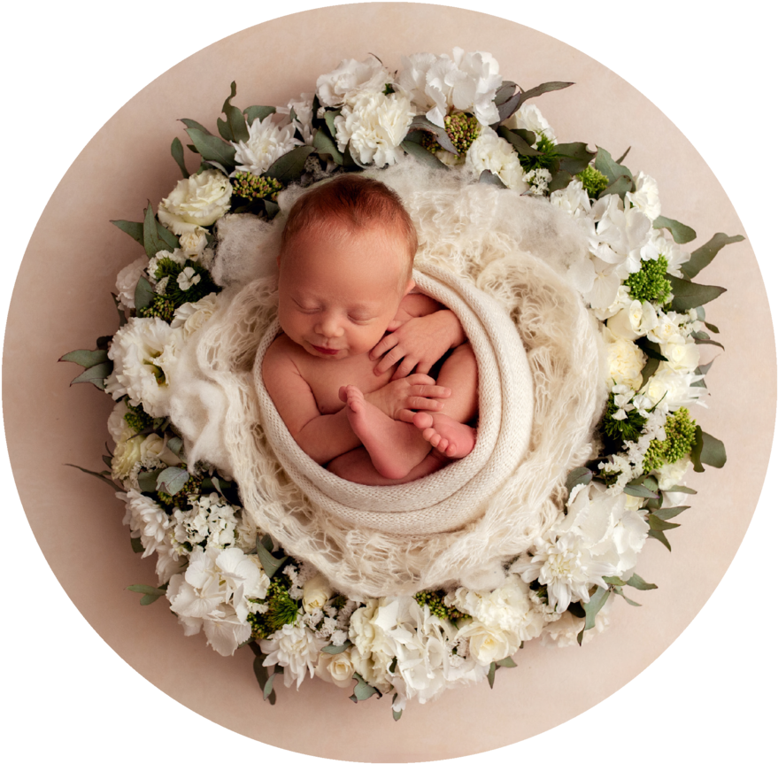 Newbornin Floral Nest PNG Image