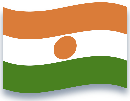 Niger National Flag Waving PNG Image