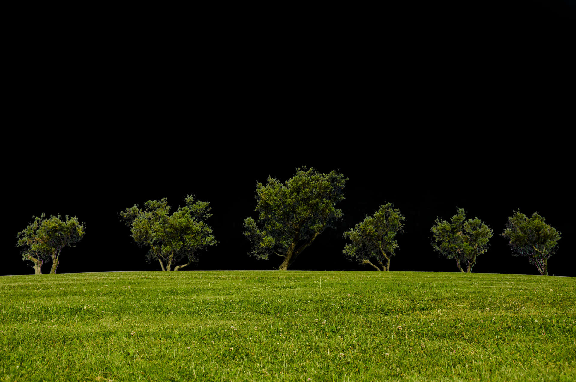 Nighttime Silhouetteof Trees Against Black Sky PNG Image