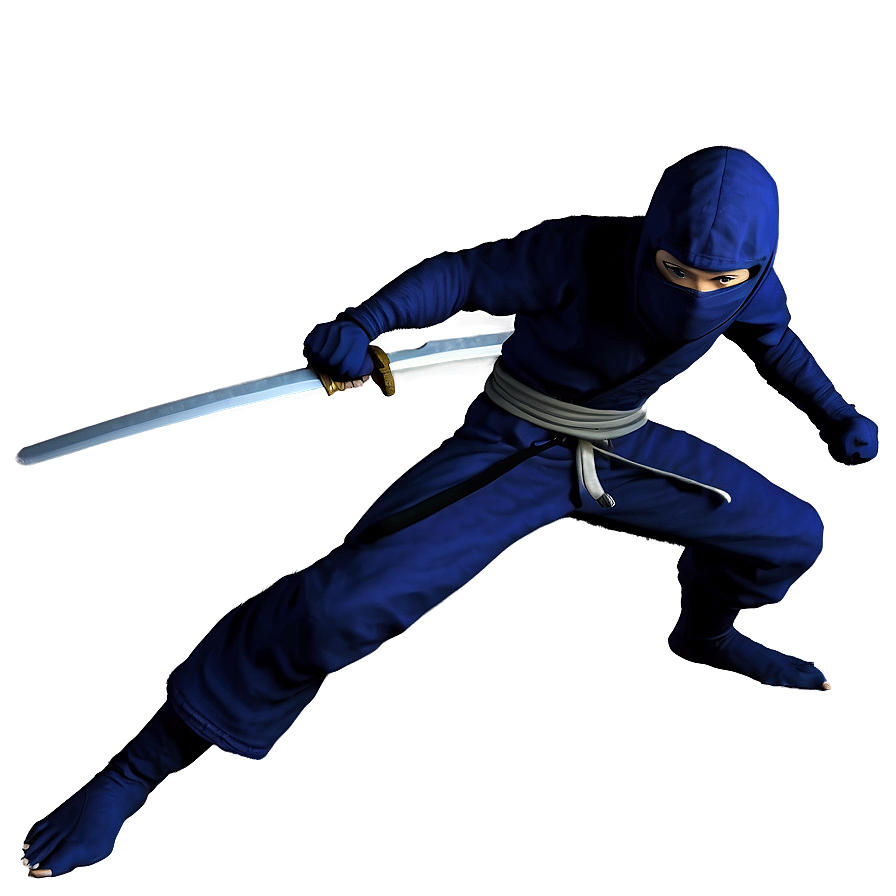 Ninja Fighter Png Dti PNG Image