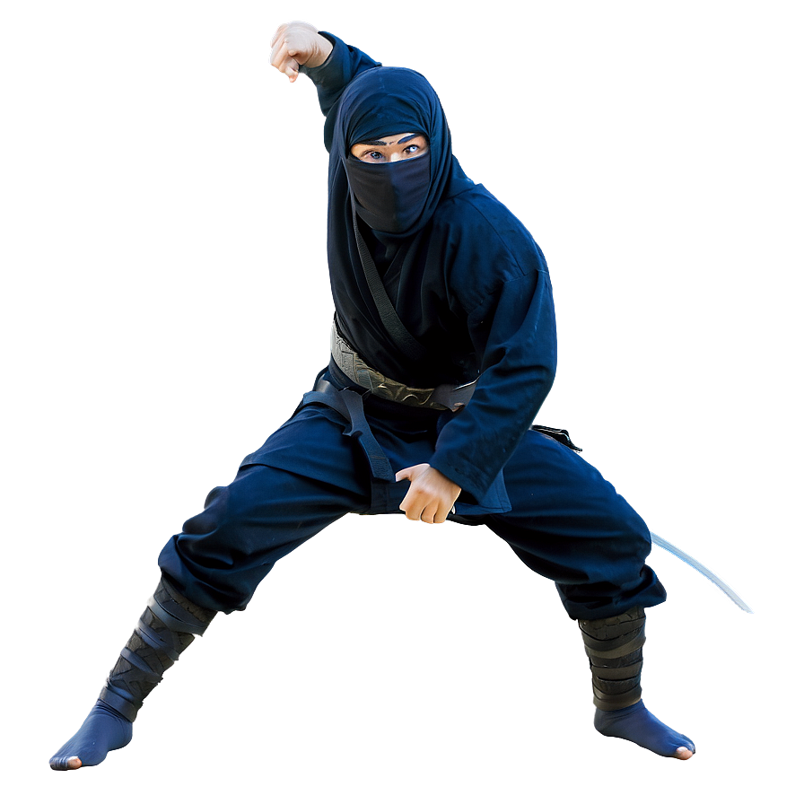 Ninja In Action Png 06112024 PNG Image