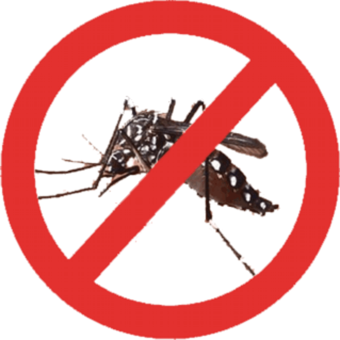 No Mosquito Sign PNG Image