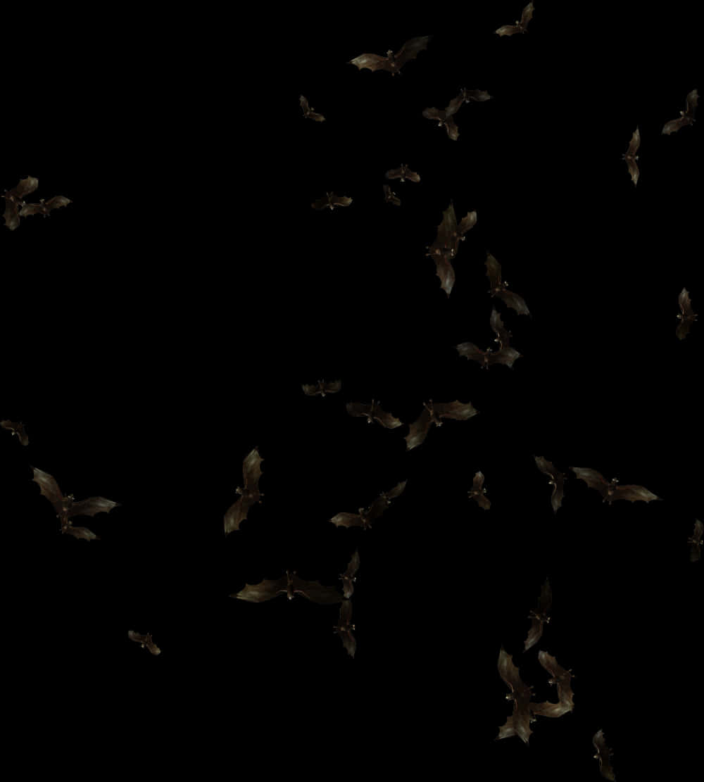 Nocturnal_ Bat_ Flight_ Formation PNG Image