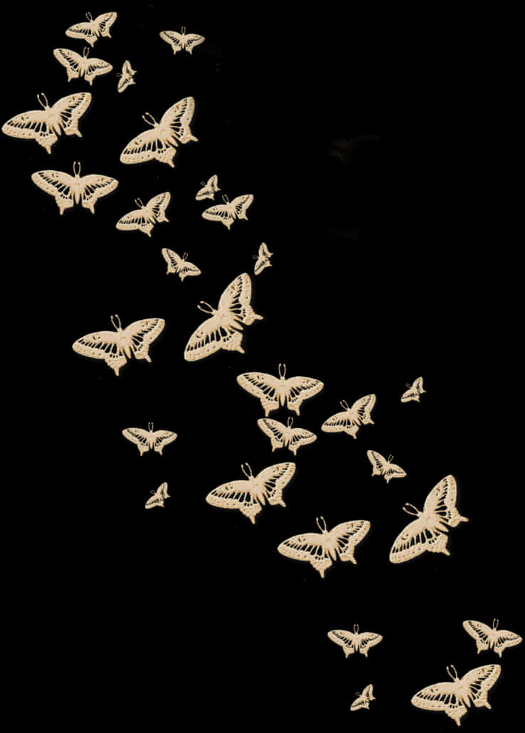 Nocturnal Butterfly Flight Pattern PNG Image