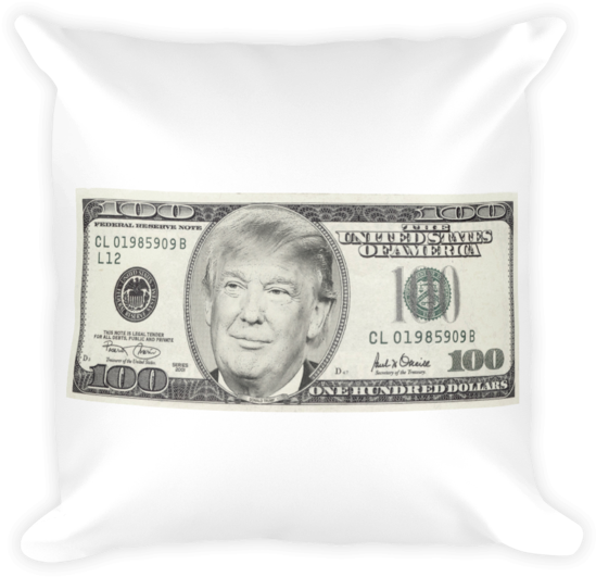 Novelty100 Dollar Bill Cushion Design PNG Image