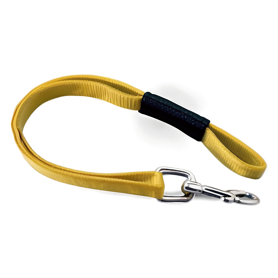 Nylon Dog Leash Png 99 PNG Image