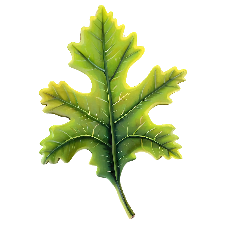 Oak Leaf B PNG Image