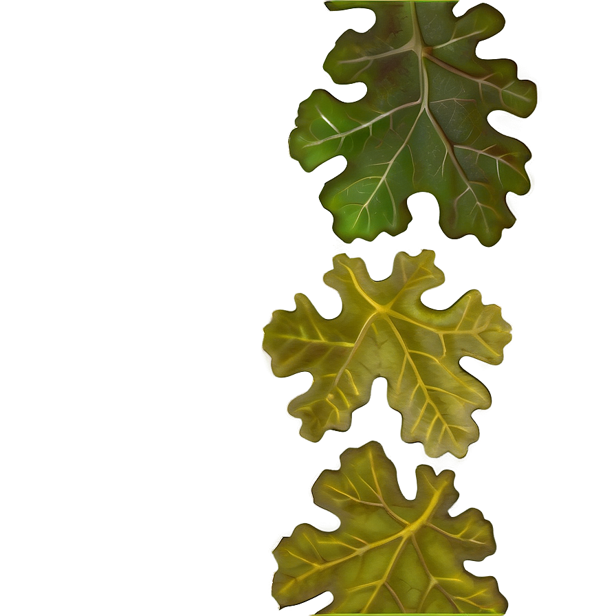 Oak Leaf Border Png Xkl70 PNG Image