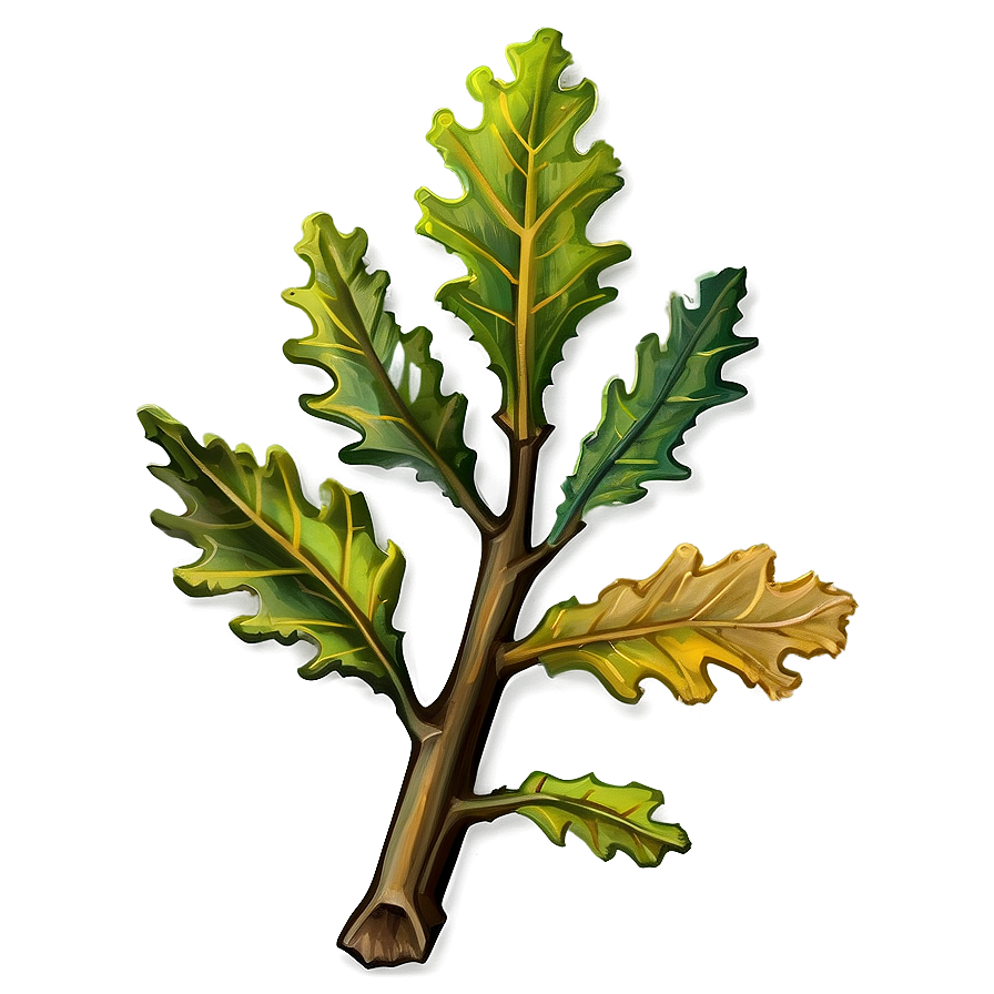 Oak Leaf Branch Png 06292024 PNG Image