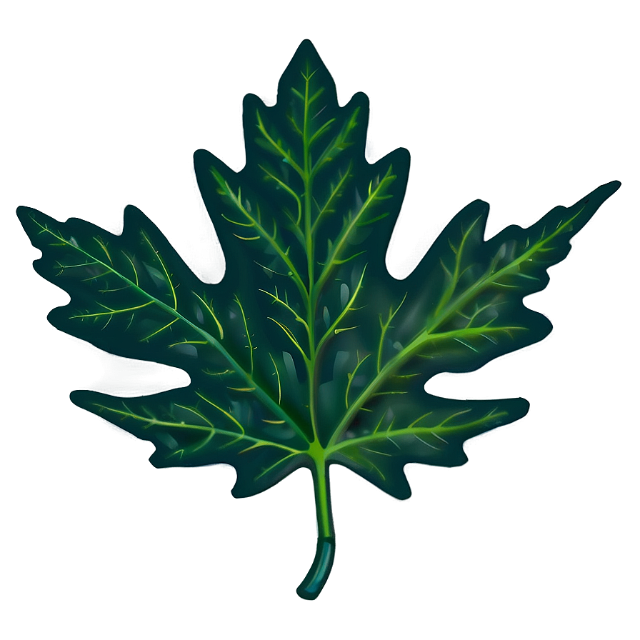 Oak Leaf For Education Png Agg94 PNG Image