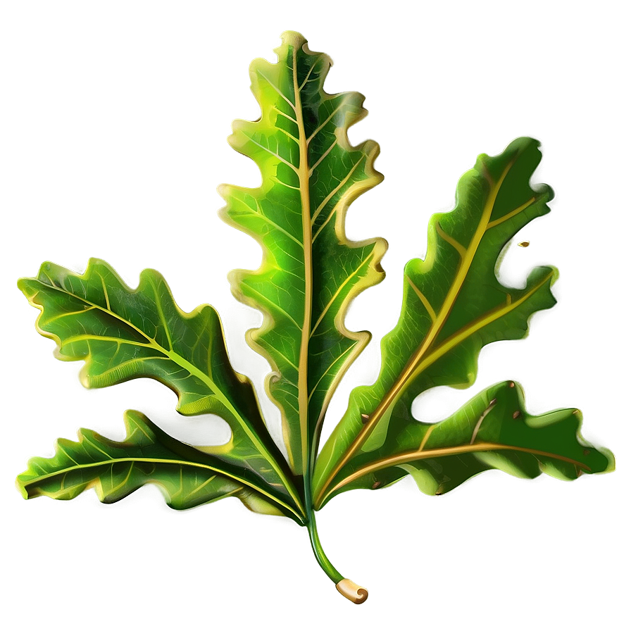 Oak Leaf For Education Png Bfv PNG Image