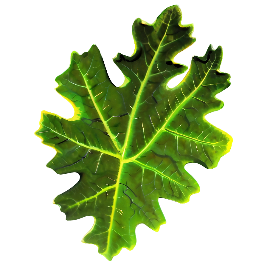 Oak Leaf Icon Png 95 PNG Image