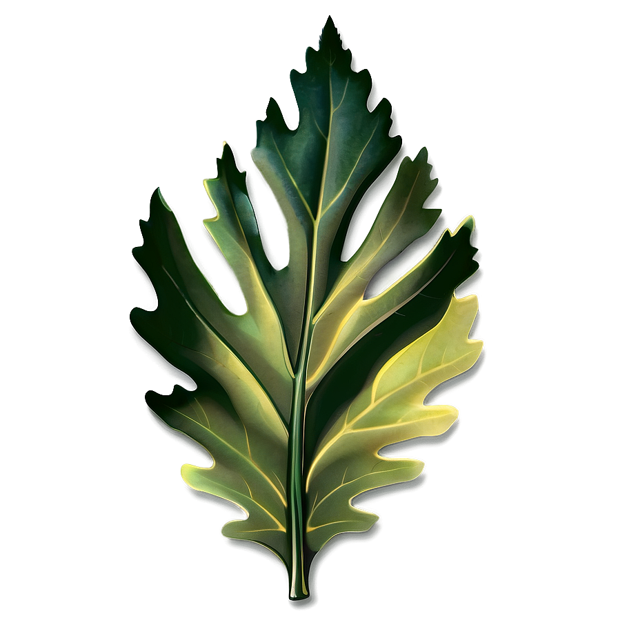 Oak Leaf Illustration Png Axl PNG Image