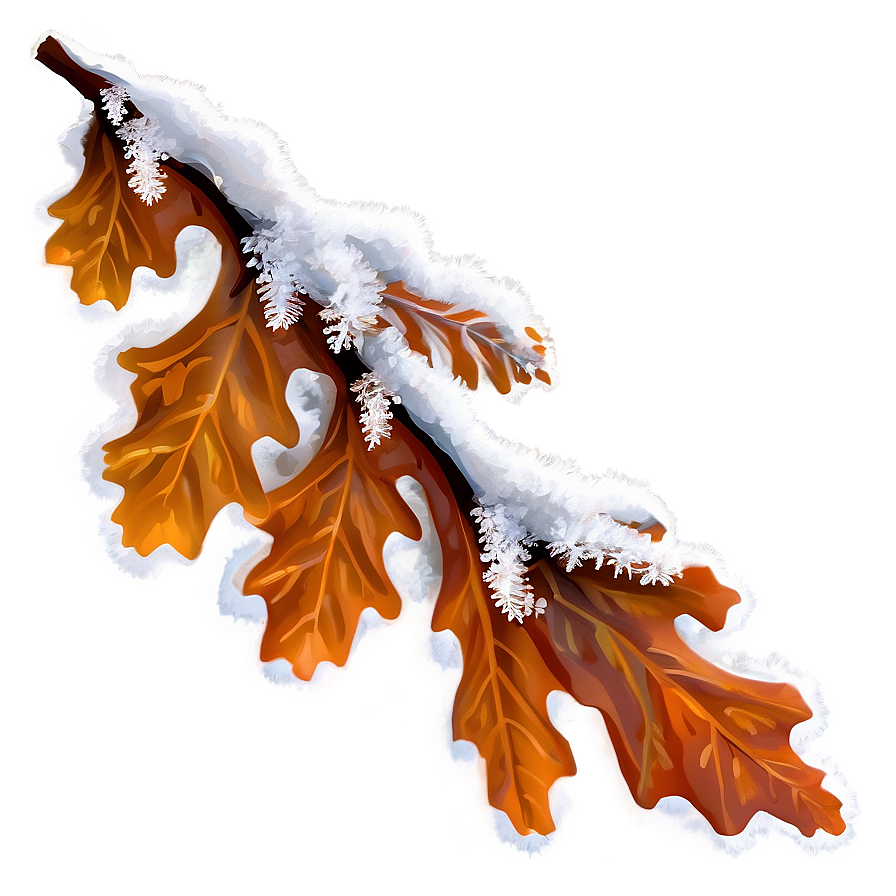 Oak Leaf In Snow Png 60 PNG Image