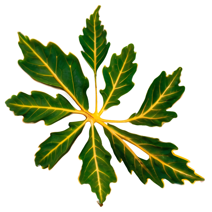 Oak Leaf Veins Png Qyc68 PNG Image