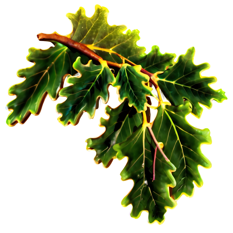 Oak Leaves Cluster Png Bsl PNG Image