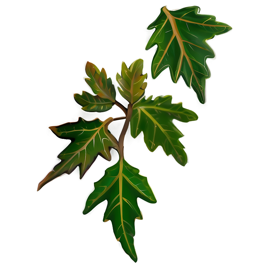 Oak Leaves Cluster Png Kvm38 PNG Image