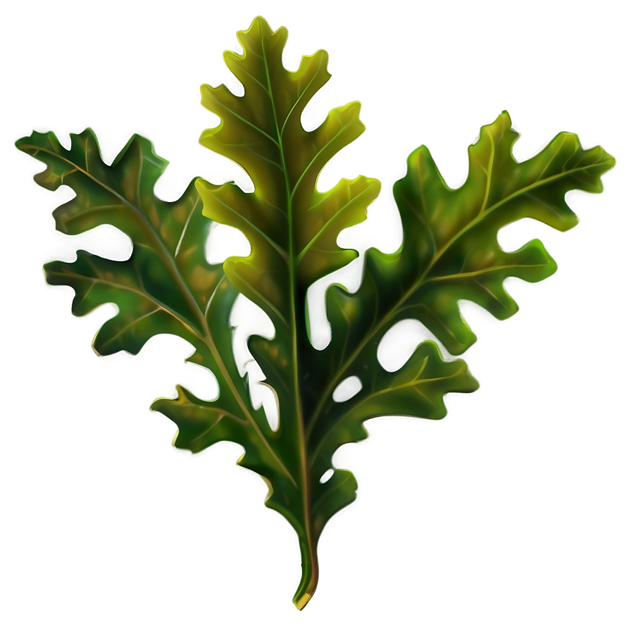 Oak Leaves Png Skk PNG Image