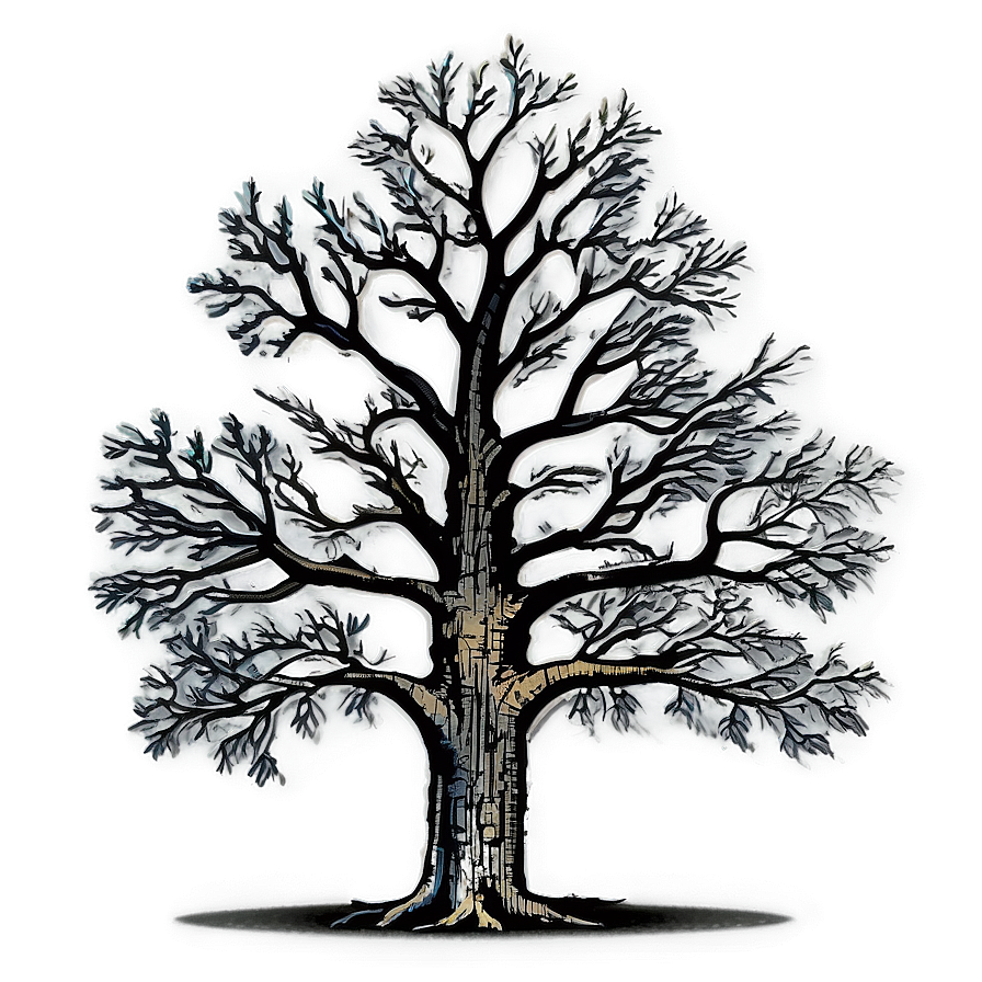 Oak Tree Moonlight Png 17 PNG Image