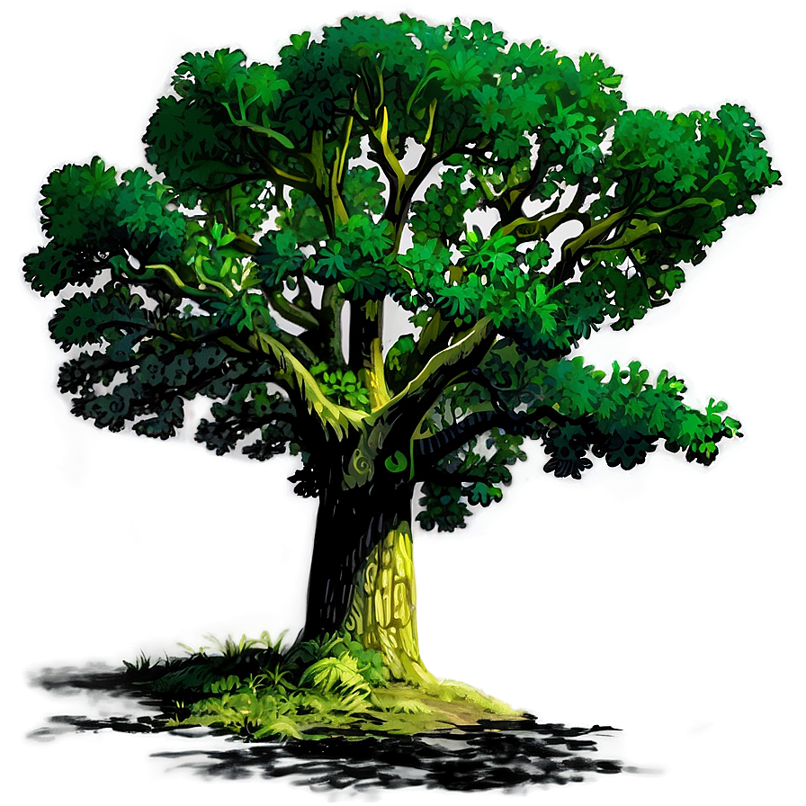 Oak Tree Shadow Png Ojg PNG Image