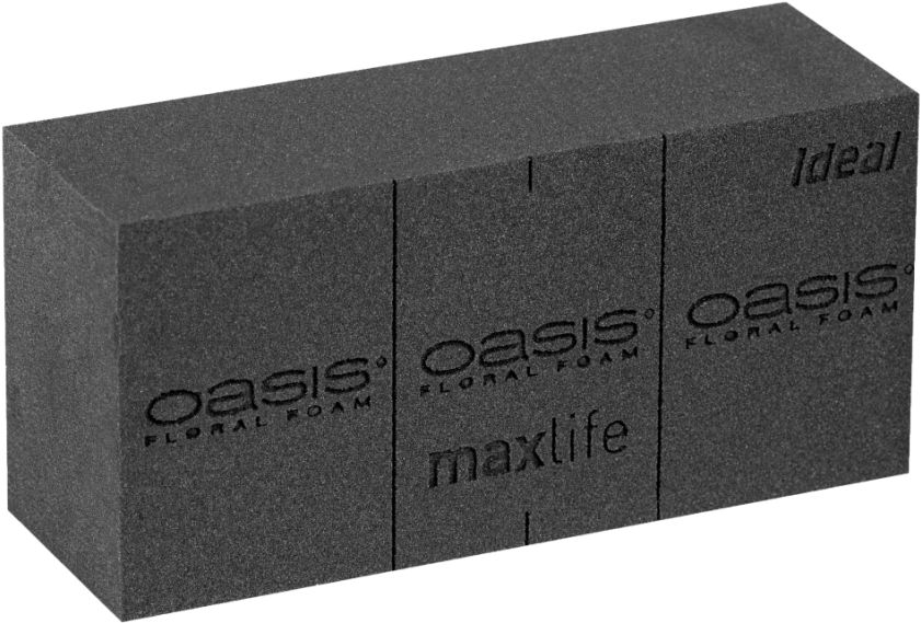 Oasis Floral Foam Bricks PNG Image