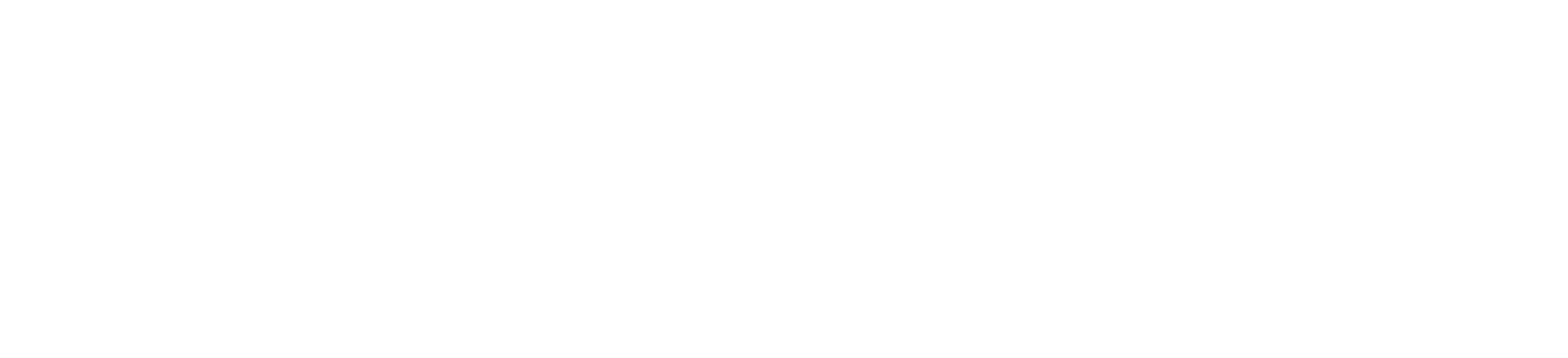 Oasis Loss Modelling Framework Logo PNG Image