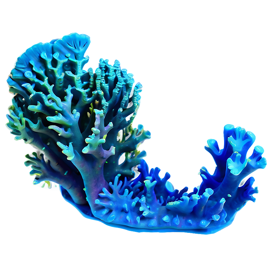 Ocean Coral Reef Png 96 PNG Image