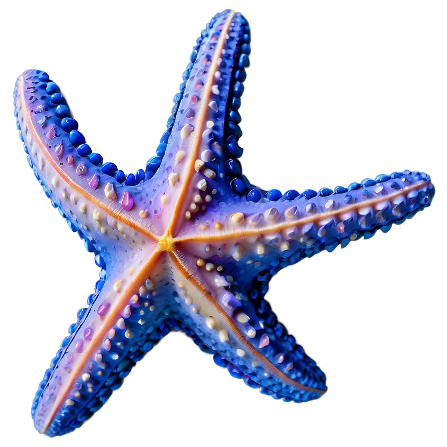 Ocean Starfish Sandy Png Pfx PNG Image