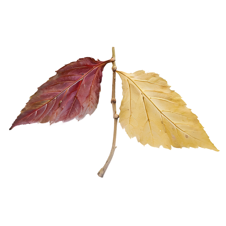 October Leaves Falling Png Bsy PNG Image