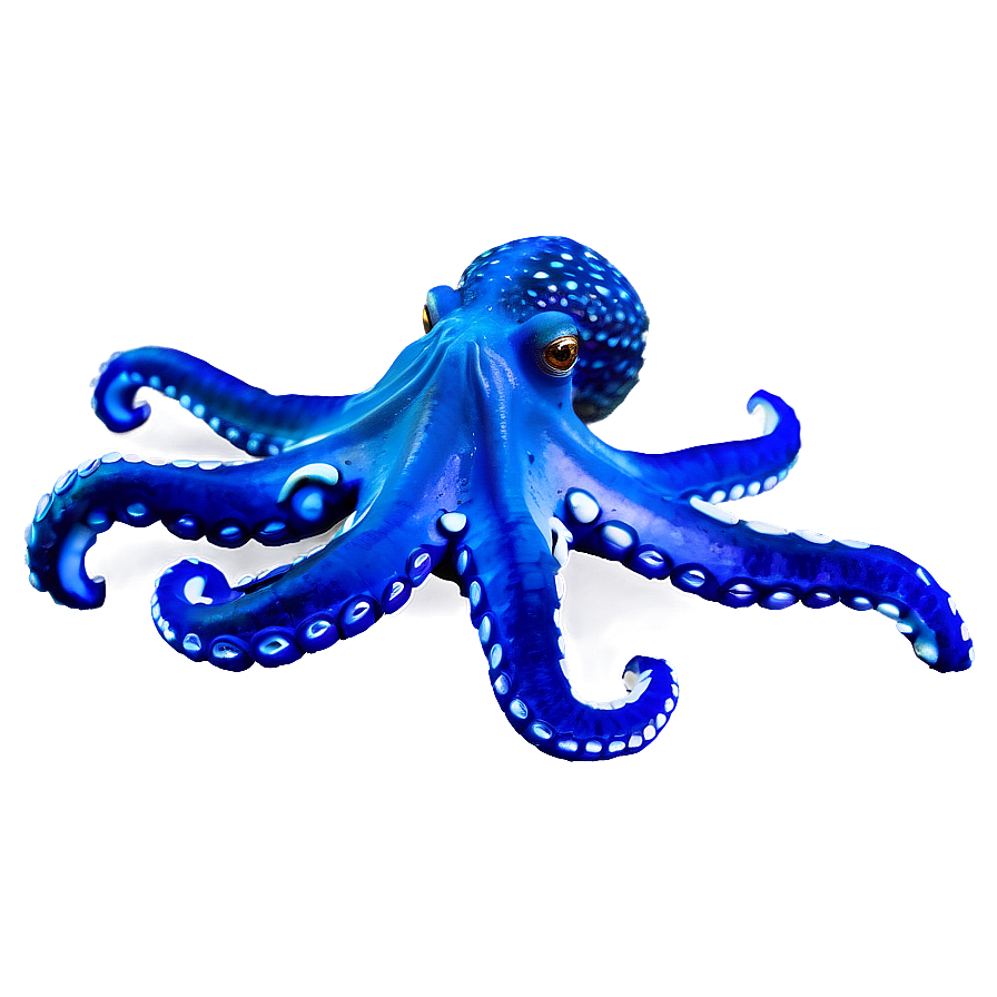 Octopus In Ocean Png Sdb PNG Image