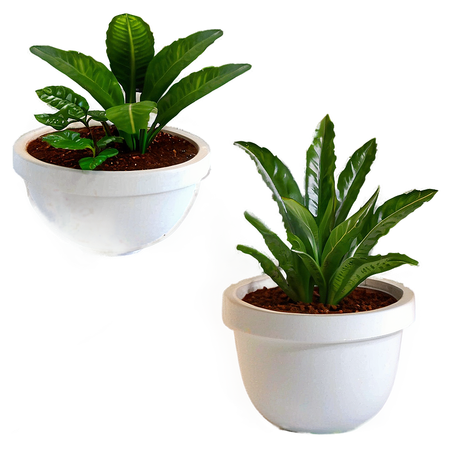 Office Desk Potted Plants Png 06122024 PNG Image