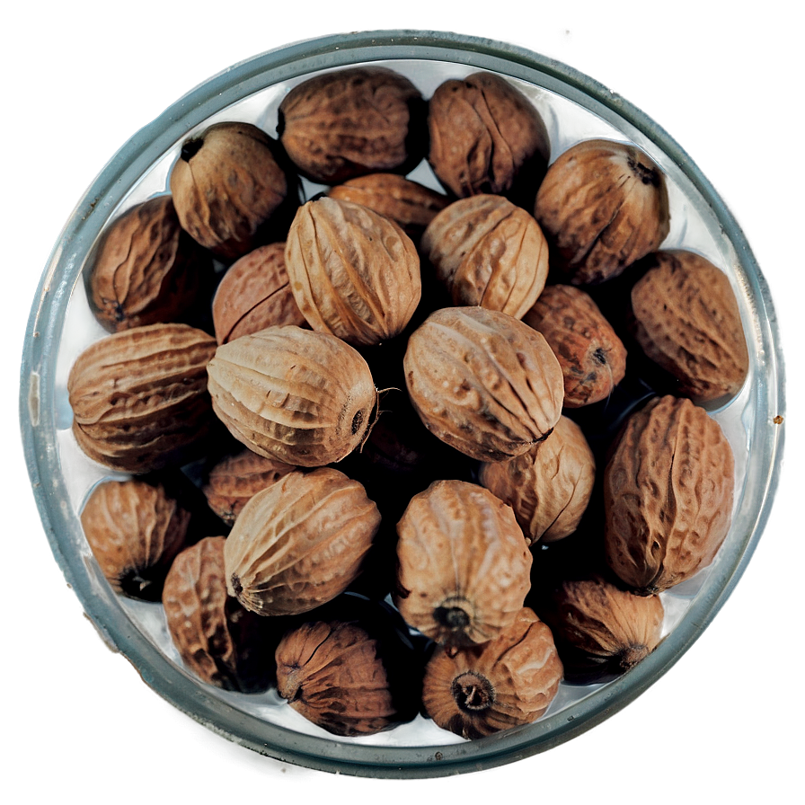 Ogbono Nut Png 15 PNG Image