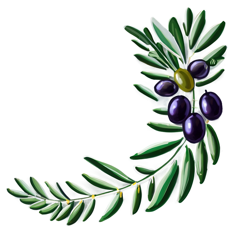 Olive Branch Border Png Bxe6 PNG Image