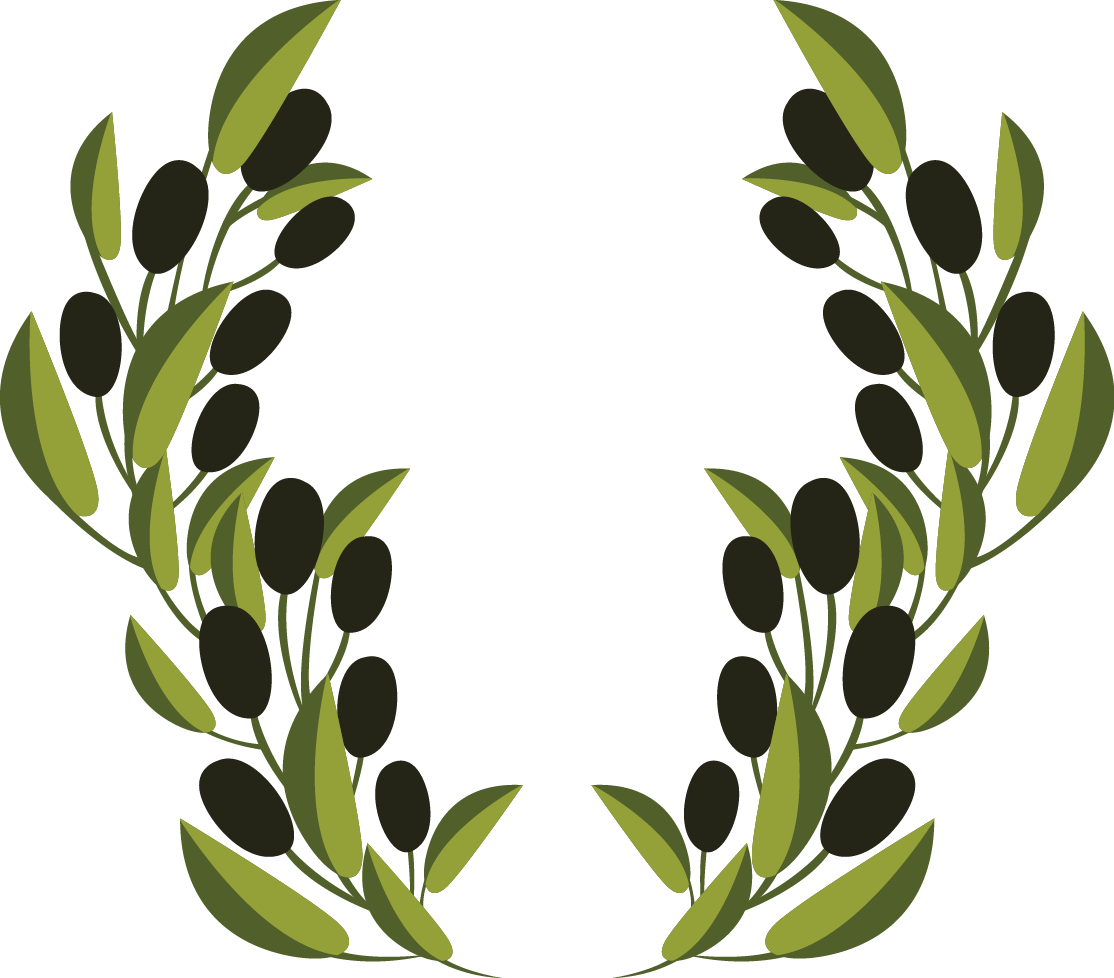 Olive Branch Symmetry PNG Image