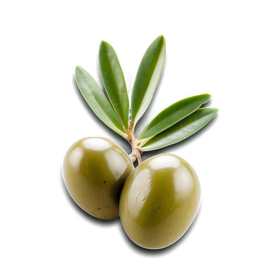 Olive Seed Png Wrw63 PNG Image