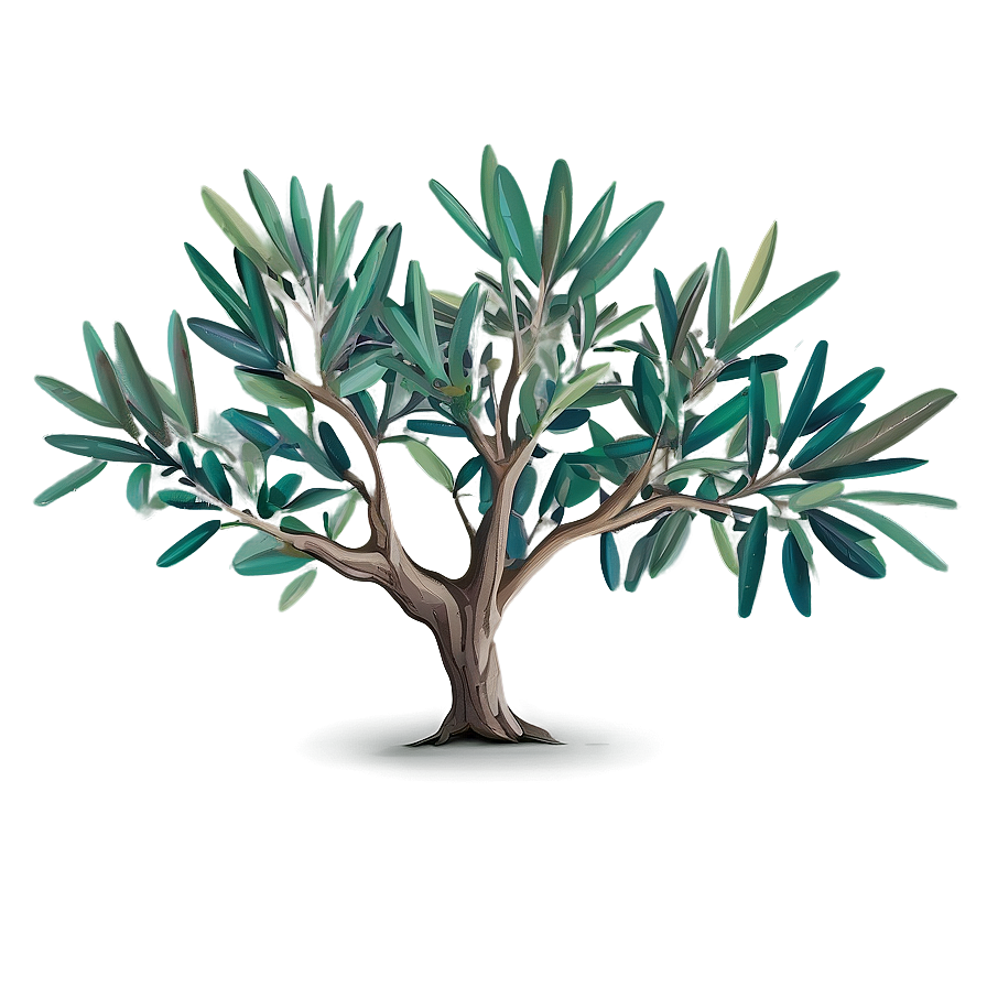 Olive Tree Drawing Png 20 PNG Image