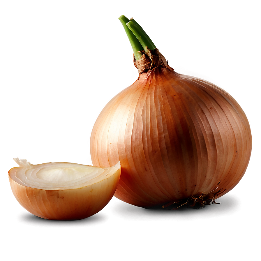 Onion D PNG Image