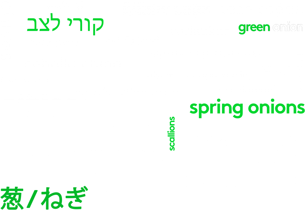 Onion Varieties Word Cloud PNG Image