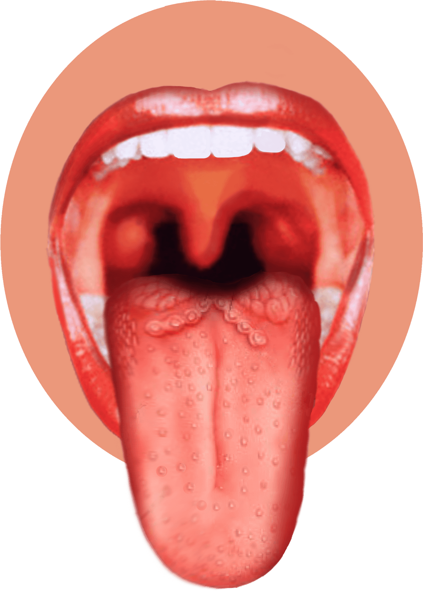 Open Mouthand Tongue View PNG Image