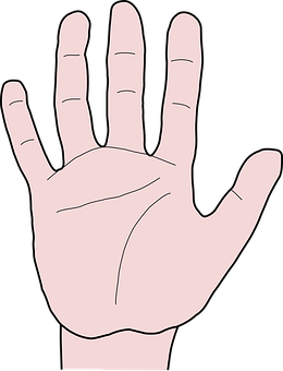 Open Palm Hand Illustration PNG Image