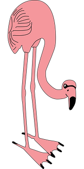 Optical Illusion Flamingo PNG Image