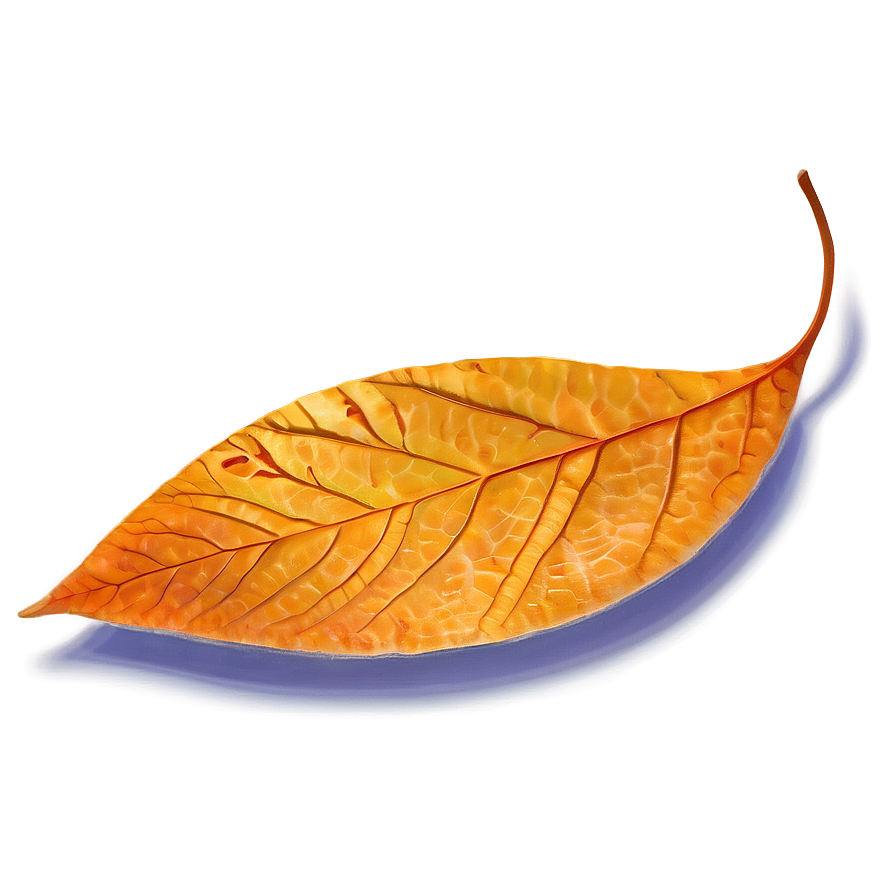 Orange Autumn Leaf Png 05252024 PNG Image