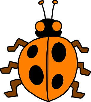 Orange Black Ladybug Illustration PNG Image