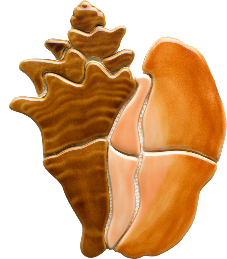 Orange Brown Conch Shell PNG Image