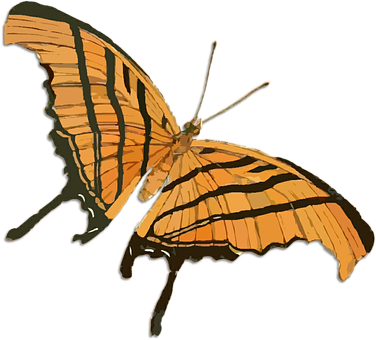 Orange Butterfly Illustration.png PNG Image