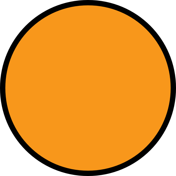 Orange Circle Black Outline PNG Image