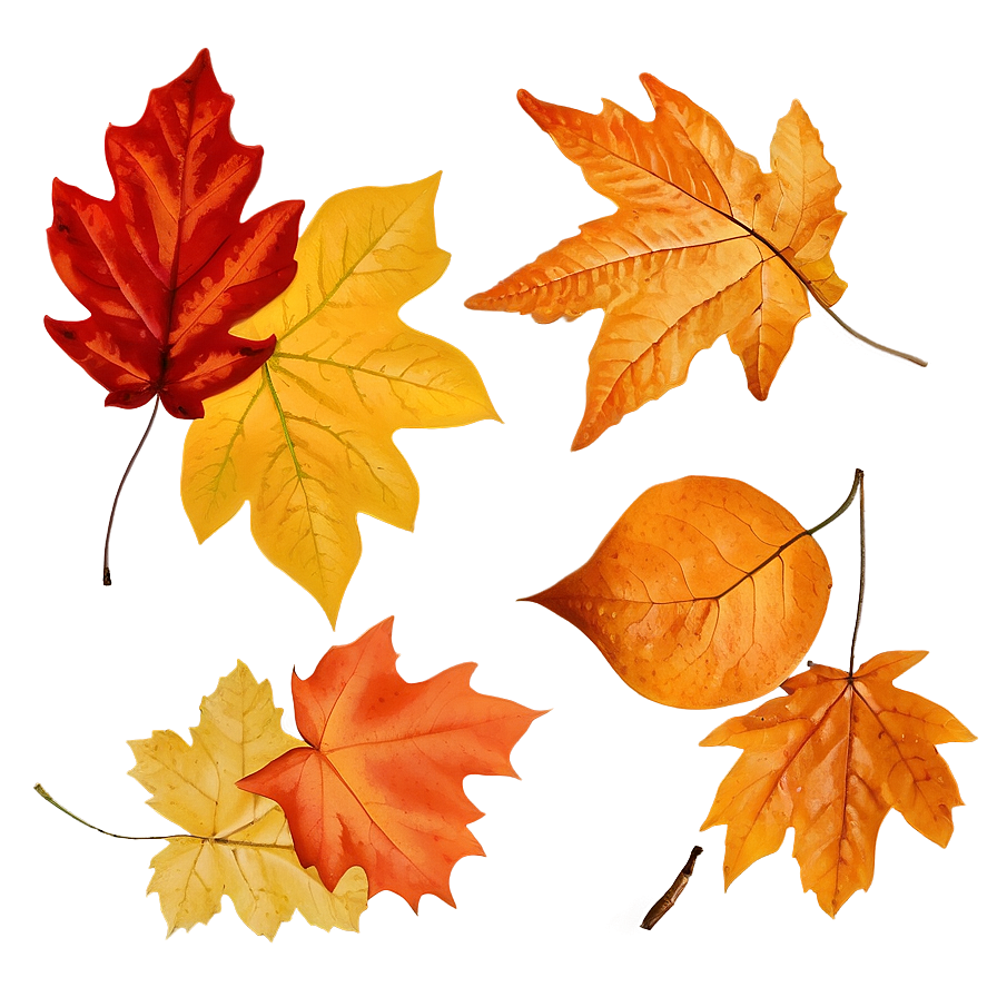 Orange Fall Leaves Png Bal PNG Image