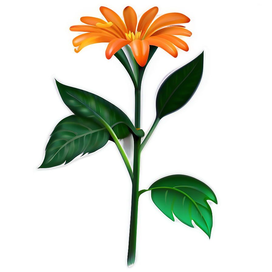 Orange Flower A PNG Image