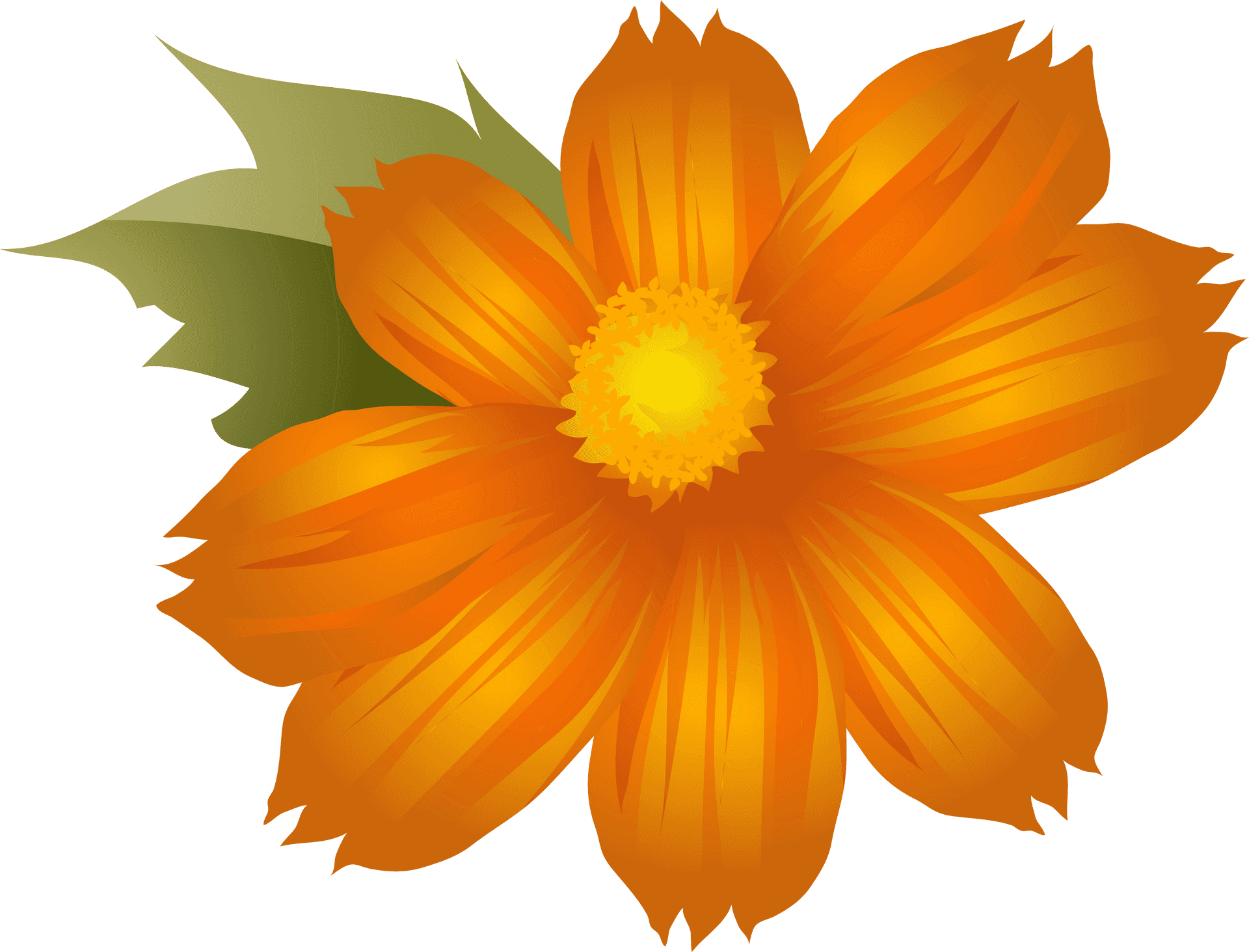 Orange Flower Clipart Illustration PNG Image