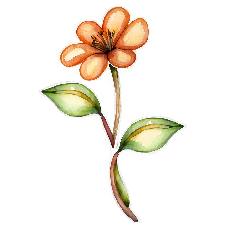 Orange Flower Watercolor Png Gmw PNG Image